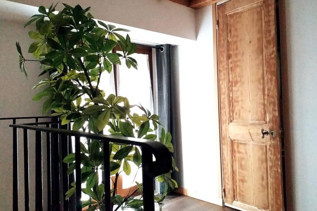 Апартаменты Le Paisible - Gare - Duplex - Garage Prive - Netflix Гренобль Экстерьер фото