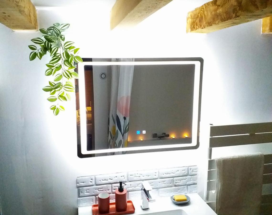 Апартаменты Le Paisible - Gare - Duplex - Garage Prive - Netflix Гренобль Экстерьер фото