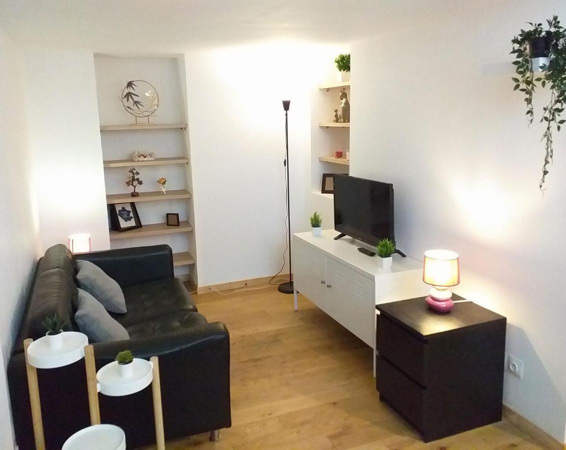 Апартаменты Le Paisible - Gare - Duplex - Garage Prive - Netflix Гренобль Экстерьер фото
