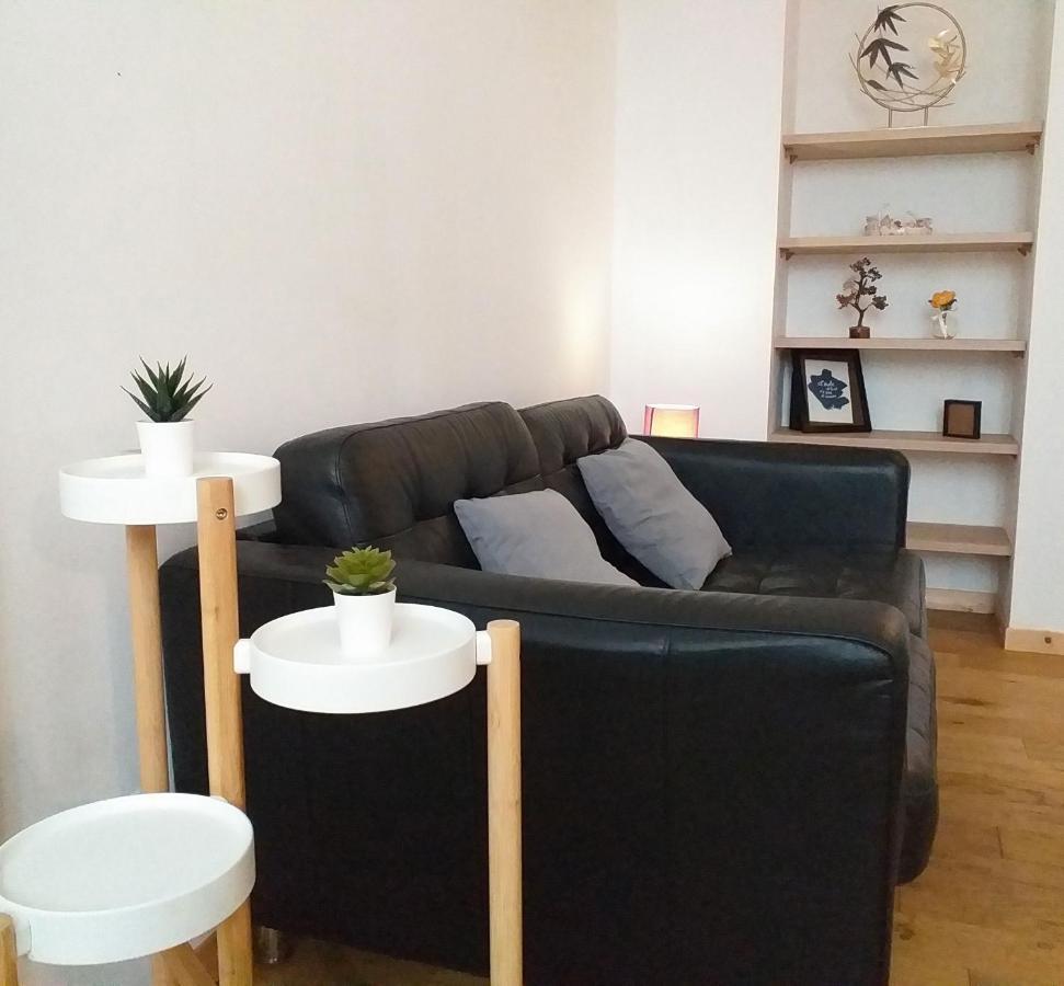 Апартаменты Le Paisible - Gare - Duplex - Garage Prive - Netflix Гренобль Экстерьер фото